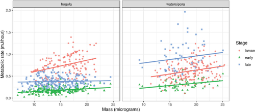 Fig. 2 Relationship between mass and metabolic rate for marine bryozoans by species and stage, in the corrected data.