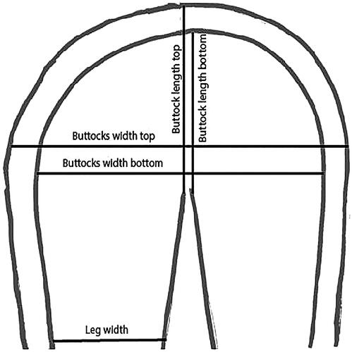 Figure 2. Measurement points buttocks for 3D model, contact area (inside contour) and hovering area (outside contour).