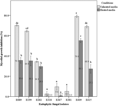 Figure 2. Mycelial growth inhibition rate (MGI %) of endophytic fungal isolates against oak wilt fungus in culture filtrate test at 5 days after inoculation in the dark at 25 °C. Different letters indicate a significant difference (p < 0.05) among treatments by Tukey’s HSD test.