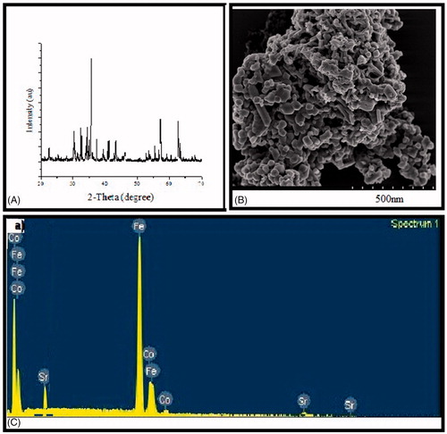 Figure 1. (A) The XRD pattern for the synthesise Y-type strontium hexaferrite cobalt iron oxide nanoparticles. (B) SEM image of strontium hexaferrite cobalt iron oxide nanoparticles synthesized by the normal microemulsion method. (C) Eengy-dispersive X-ray spectra for the synthesise material.