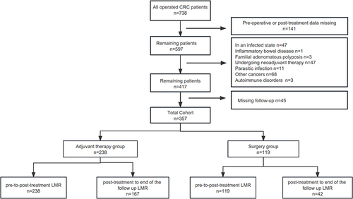 Figure 1 Flow chart of the patient cohort based on inclusion and exclusion criteria.