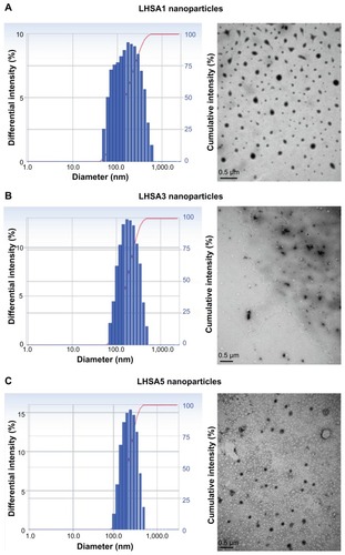 Figure 3 Size distribution and TEM images of LHSA nanoparticles.Note: (A) LHSA1 nanoparticles, (B) LHSA3 nanoparticles, (C) LHSA5 nanoparticles. The length of the scale bar in the TEM images is 500 nm (×200,000).Abbreviations: TEM, transmission electron microscopy; LHSA, LMWH-SA; LMWH, low-molecular-weight heparin; SA, stearylamine.
