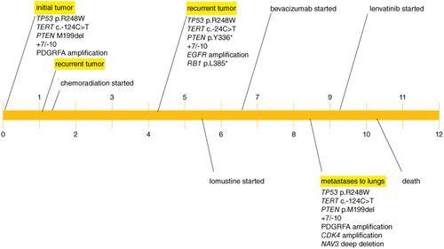 Figure 4. Patient disease course (timeline in months).