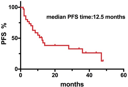 Figure 2 Kaplan–Meier curve of the median PFS durations of 38 DLBCL patients after CNS involvement.
