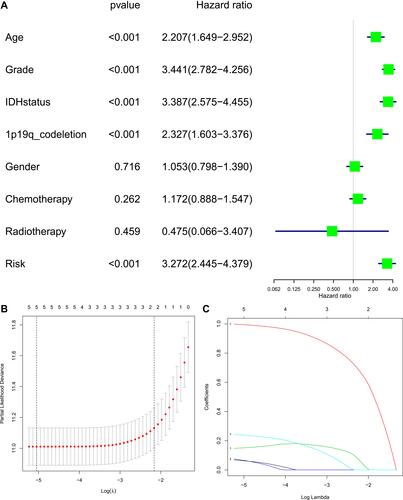 Figure 8 Screening and evaluation of the indicators of prognostic model. (A) Univariate Cox regression analyses of DDR gene signature (risk score) and several other clinical variables. (B) Tuning parameter (lambda) screening in the Lasso regression model. (C) The Lasso coefficient profiles of the indicators (1-Age; 2-Grade; 3-IDH status; 4-1p19q codeletion; 5-Risk).