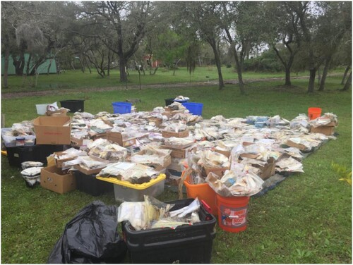 Figure 6 Approximately 2500 samples collected as evidence for the Waterkeeper's suit, spread out on land around Diane Wilson's house. March 2019. Figure by San Antonio Bay Estuarine Waterkeeper, reproduced with permission.Footnote7