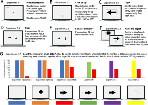 Figure 4. A-G. Stimuli, tasks and Davida’s performance for the third series of experiments (see Appendix 3.1–3.7, for detail).