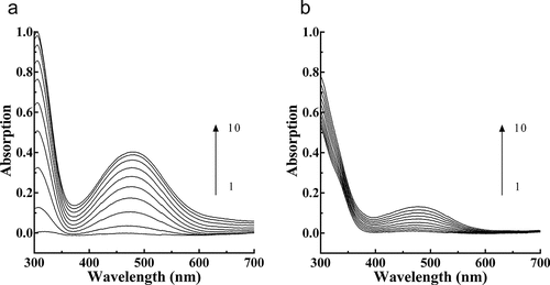 Figure 2. Consecutive spectra obtained during the oxidation of L-DOPA by PPO. (a), Consecutive spectra in the absence of PTF. (b). Consecutive spectra in the presence of PTF. Lines 1–10 represent 0–9 min after the addition of the enzyme. PTF: 20 μg/mL