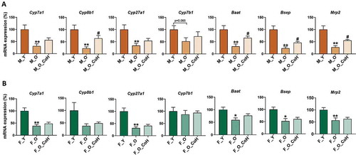 Figure 7. Hepatic BAs metabolism-related gene expression in male (a) and female (b) mice. *p< .05 and **p < .01 compared with young group; # p < .05 compared with old group. n = 5–8 mice per group.