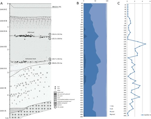 Figure 4. Northern profile and chronology of EDAR 135. A) Stratigraphy and two cultural horizons with OSL results; B) results of granulometry analysis; and, C) calcium carbonate content.