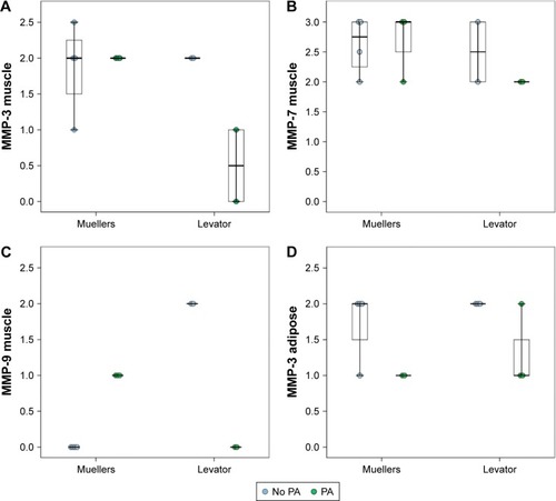 Figure 2 Effect of PA exposure on tissue specific MMP and TIMP expression.