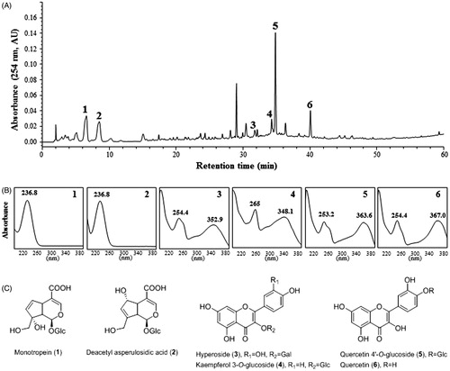 Figure 1. HPLC chromatogram of MOTILIPERM and UV spectra of major marker components of herbal ingredients. (A) HPLC chromatogram. (B) UV spectra. (C) Chemical structures. Monotropein (1) and deacetyl asperulosidic acid (2) in Morinda officinalis, hyperoside (3) and kaempferol 3-O-glucoside (4) in the seeds of Cuscuta chinensis, quercetin 4-O-glucoside (5) and quercetin (6) in Allium cepa. Each peak of MOTILIPERM in the HPLC chromatogram was identified by comparison with retention times and UV spectra of standard compounds.