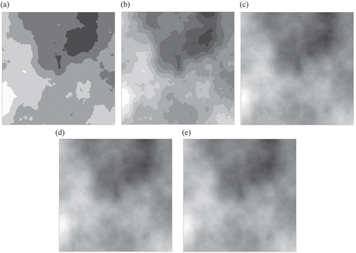 Figure 8. Examples of ‘cloudy’ cost surfaces with (a) 5 classes, (b) 10 classes, (c) 25 classes, (d) 50 classes, and (e) 100 classes. Note that the values of the cells in each cost surface range from 1 (most lightly shaded) to 100 (most darkly shaded) with a constant increment