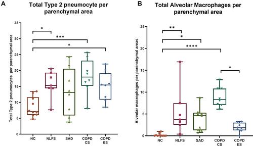 Figure 2 Comparison of total type 2 pneumocytes and alveolar macrophages in normal controls, normal lung function smokers, SAD, and COPD patients with normal controls. An increase in (A) the total number of type 2 pneumocytes per parenchymal area and (B) the total number of alveolar macrophages per parenchymal area in NLFS, SAD, COPD-CS, and COPD-ES compared to NC. Significance is indicated as: *p <0.05, **p< 0.01, ***p<0.001 and ****p<0.0001, the one-way ANOVA test was used for statistical analysis.