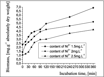Figure 7. Growth of free cells of A. oxydans 1388 in a medium with different of Ni2+ concentrations.