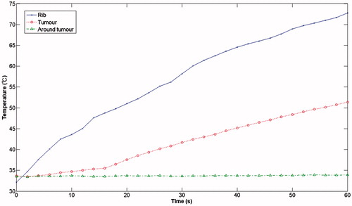 Figure 33. Ablation without protection.