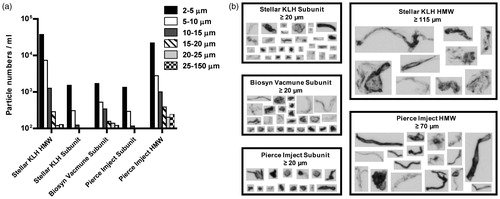 Figure 1. Particle number, size distribution, and morphology of KLH preparations from different sources. (a) KLH preparations were examined by light obscuration to determine the number and size range of particles present. The differential particle numbers per milliliter in each size range tested are shown. Bars represent average of three runs. (b) Particle images were captured on a Micro-flow Imaging system and representative images of the largest particles detected are shown. The size threshold designates the lower size limit of the particles that were used for comparison.