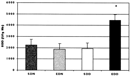 Figure 1. Erythrocyte SOD activity on the 15th day after surgical intervention (T2) in sham rats receiving a normal diet (SDN), experimental rats receiving a normal diet (EDN), sham rats receiving a deficient diet (SDD), and experimental rats receiving a deficient diet (EDD). Values are presented as means ± SD. *p < 0.05.
