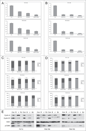 Figure 4. Low concentrations of BEZ235 and JQ1 cooperate to induce enhanced cell cycle arrest. Lck-Dlx5 lymphoma lines were treated with BEZ235 and JQ1 separately or in combination at the indicated concentrations. Cell viability/proliferation was monitored by MTS assay (A, B), and cell cycle analysis was performed by flow cytometry (C, D). BEZ235 (B, 40 nM) or RAD001 (R, 1 nM), when combined with JQ1 (J, 250 nM) for 24 h, cooperatively suppress expression of cyclin A, cyclin D1 and phospho-Cdk6 (E).