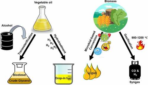 Figure 2. Illustration of different types of biofuels producing techniques