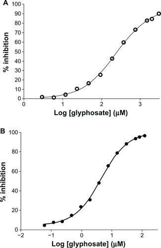 Figure 6 (A and B) IC50 determination. (A) Inhibition of Mycobacterium tuberculosis 5-enolpyruvylshikimate-3-phosphate synthase (EPSPS) by glyphosate. M. tuberculosis EPSPS was assayed in the presence of increasing concentrations of glyphosate. Data points (○–○) indicate mean of triplicate measurements. Analysis was done using GraphPad Prism software. The IC50 of glyphosate for the Mtu EPSPS was found to be 260 μM. (B) Inhibition of Escherichia coli EPSPS by glyphosate. E. coli EPSPS was assayed in the presence of increasing concentration of glyphosate. Data points (•–•) indicate mean of triplicate measurements. Analysis was done using GraphPad Prism software. The IC50 of glyphosate for E. coli EPSPS was found to be 3 μM.