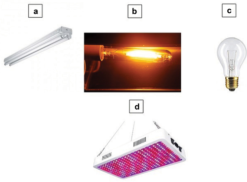 Figure 1. Conventional light sources previously used in agriculture (a- Fluorescent light; b-HPS (High pressure sodium) light and c-incandescent light) and full spectrum light emitting diode (d).