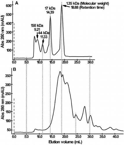 Figure 4. Molecular-weight distribution of acid soluble protein in yeast culture. (A) Standard protein. (B) Yeast culture. The size-exclusion chromatography was performed using a SuperdexTM 75 column (GE Amersham).