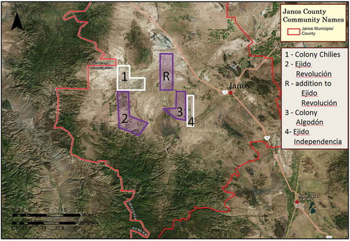 Figure 2. Map of Janos county showing the location of the four focal communities. Ejidos are outlined in purple, Mennonite colonies are outlined in white.