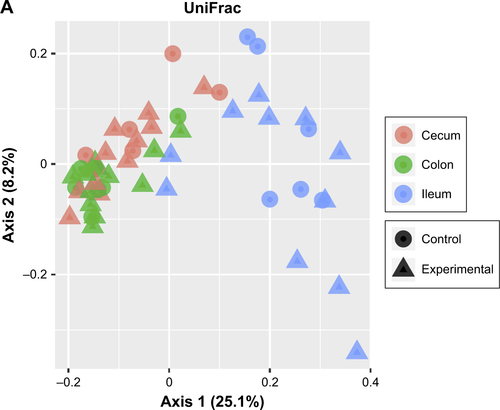 Figure S3 UniFrac PCoA analyses.Notes: (A) Female samples colored by organ and differentiated by either control groups or day of first exposure. (B) Female samples colored by intervention. Shapes identify day of first exposure.Abbreviations: PCoA, principal coordinate analysis; PO, per os (oral); IP, intraperitoneal.