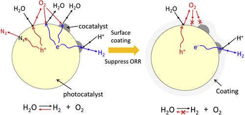 Figure 20. Schematic of the strategy for the surface coating of photocatalyst to achieve overall water splitting.