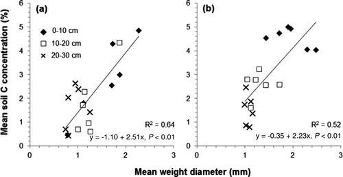 Figure 3. Relationship between the mean weight diameter of soil aggregate and the mean soil C concentration in the Pinus rigida (a) and Larix kaempferi (b) plantations.