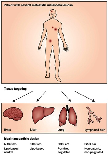 Figure 1 Schematic strategy of effective designed nanoparticles for advanced stage melanoma. Reprinted from The Lancet Oncology, 15/1, Bombelli FB, Webster CA, Moncrieff M, Sherwood V. The scope of nanoparticle therapies for future metastatic melanoma treatment, e22-e32, Copyright (2014), with permission from Elsevier..Citation110