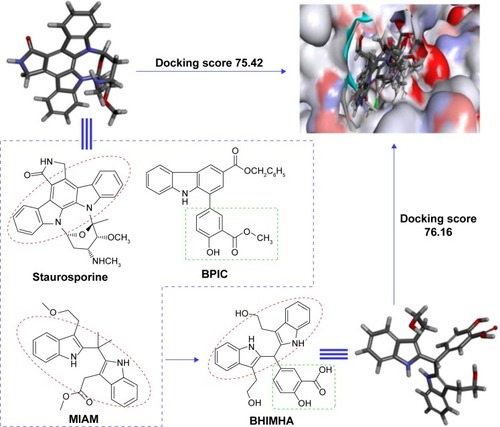 Figure 1 The survey of the structural characteristics of staurosporine, BPIC, and MIAM, as well as the docking scores results in BHIMHA as a novel inhibitor of PKCα (PDB: 3IW4) capable of inhibiting metastasis of tumor toward lung, slowing tumor growth, and blocking inflammatory response.