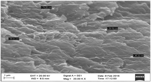 Figure 4. SEM micrograph of selenium nanoparticles synthesized by aqueous extracts of Clausena dentata.