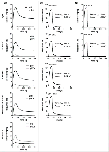 Figure 6. a) QCM measurements of binding of IgG and Fc fusion proteins to immobilized mouse FcRn (at a density of 50 Hz) at pH 6.0 or pH 7.4. For comparison, binding curves are shown for 100 nM protein, except for scDb-CH2 which was analyzed at 1 µM. b) Analysis of dissociation of proteins bound to mouse FcRn (at pH 6.0) by shifting pH to 7.4. c) Analysis of dissociation of IgG and scFv-Fc fusion protein to human FcRn at pH 6.0 by shifting pH to 7.4.