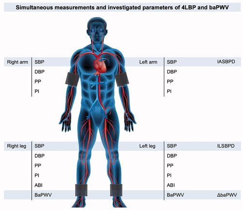 Figure 1. A scheme of investigated parameters of 4LBP and baPWV measurements. 4LBP: four-limb blood pressure; baPWV: brachial–ankle pulse wave velocity; SBP: systolic blood pressure; DBP: diastolic blood pressure; PP: pulse pressure; PI: pulsatile index; IASBPD: inter-arm systolic blood pressure difference; ILSBPD: inter-leg systolic blood pressure difference; ABI: ankle–brachial index; ΔbaPWV: inter-side baPWV difference.