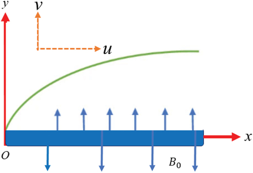 Figure 1. Flow illustration of the problem.