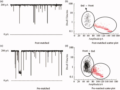 Figure 4. Nanochannels detection of miRNA 21 end match and front match and corresponding scatter diagrams.