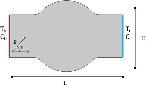 Figure 1. Sketch view of the problem.