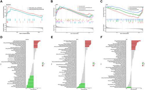 Figure 5 Single-gene GSEA-KEGG pathway analysis in SLC31A1 (A), DLD (B), MTF1 (C). Single-gene GSVA-KEGG pathway analysis in SLC31A1 (D), DLD (E), MTF1 (F).