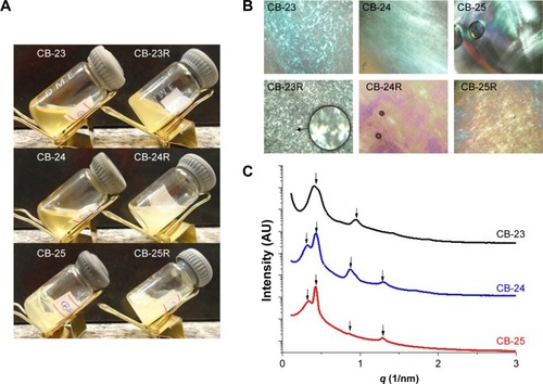 Figure 3 Characterization of the liquid-crystalline dispersions.Notes: (A) Macroscopic appearance, (B) photomicrographs obtained by polarized light microscopy (figures were obtained at 40× magnification and the enlarged area at 250× magnification), and (C) small-angle X-ray scattering patterns of the samples.