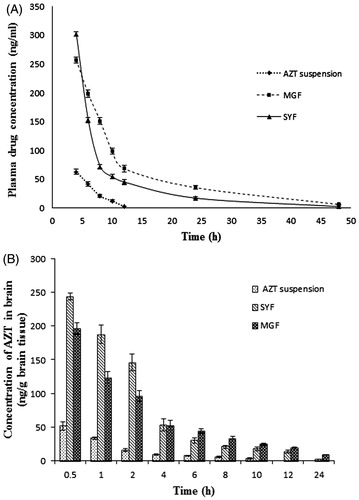 Figure 5. In vivo pharmacokinetic parameters in plasma and brain. (A) Plasma concentration of AZT–time profiles after i.v. administration of MGF/SYF/free drug (AZT) suspension in rats. (B) Concentration of AZT in brain after i.v. administration of MGF/SYF/AZT suspension in rats represented by bar diagram. Data showed mean ± SD (n = 3). SD of each point was represented by error bar. SD: standard deviation represented by deviation bar.
