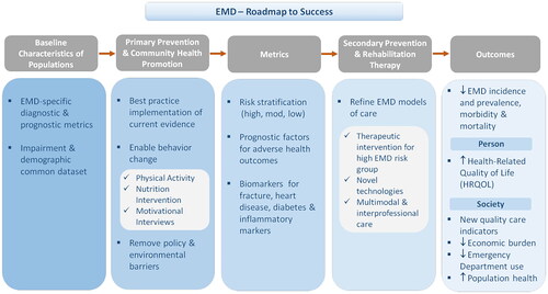 Figure 2. An overview of the RIISC team’s roadmap to successful amelioration of EMD risk.