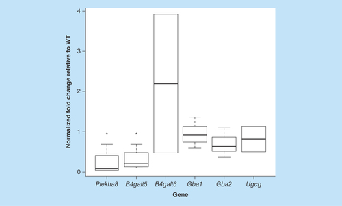 Figure 5.  mRNA levels of genes involved in glycosphingolipid metabolism.Transcript levels in the liver of WT and Fabry mice were assessed by real-time quantitative reverse-transcription PCR. Data shown are normalized to endogenous housekeeping control genes (actin and/or GAPDH) and expressed as fold-change relative to WT. A significant decrease in Plekha8 and B4Galt5 was observed in the Fabry liver.WT: Wild-type.