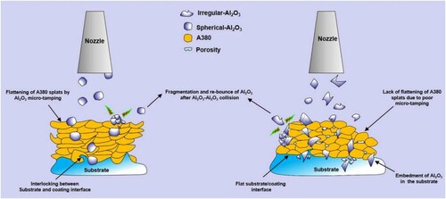 Figure 3. Schematic diagrams of deposition behavior for spherical and irregular alumina coatings [Citation14].