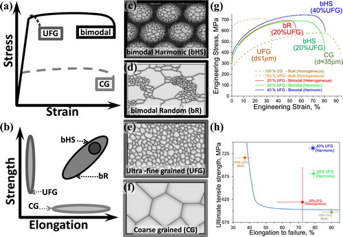 Figure 1. Schematic illustrations of (a) nominal stress–strain curves for ductile but soft (light-grey dash line), strong but having very limited ductility (dark-grey dot line) and strong and ductile (black solid line) that are representative of coarse grain (CG), ultrafine-grain (UFG) and bimodal structure materials (bR and bHS), respectively; (b) expected ranges of structural properties for a wider spectrums of CG, UFG, bR and bHS materials presented in ‘Elongation-Strength’ property space; and (c–f) respective microstructures. Examples of experimental results for stainless steel SUS304L: (g) engineering stress–strain curves for the material with CG, UFG, bR and bHS microstructures having 20% and 40% UFG phase fraction; and (h) structural property variations of the material in the microstructure states of interest.