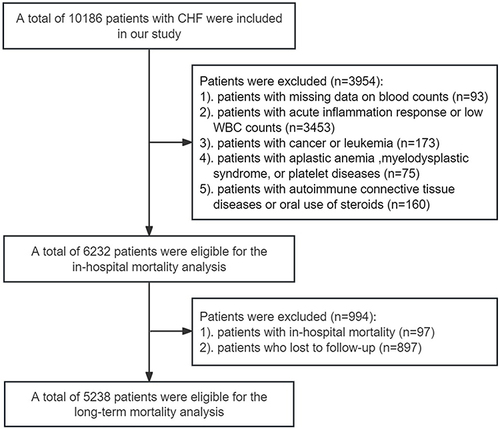 Figure 1 Eligibility of the study patients. The flowchart of the eligibility of 6232 patients included in the in-hospital mortality analysis, and 5238 patients included in the long-term mortality analysis.