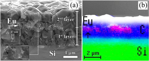 Figure 2. SEM image of the cross-section of the diamond film with embedded EuF3 particles in the middle of the film (a). EDX mapping of elements across the same cross-section (b): green layer – silicon, blue layer – carbon, purple dots – europium (also shown by the arrow) [Citation66].