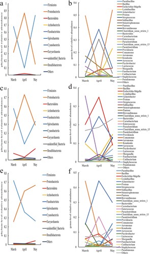 Figure 7. Trends of relative abundances of bacteria in air, feces, and body surface in the buck pen. (a) Air phylum, (b) Air genus, (c) Fecal phylum, (d) Fecal genus, (e) Body surface phylum, and (f) Body surface genus.