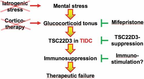 Figure 1. Cascade of events that link mental stress to the failure of anticancer therapies. Mental stress causes an elevation of the glucocorticoid tonus that stimulates TSC22D3 expression by tumor infiltrating dendritic cells (TIDC), causing local immunosuppression and therapeutic failure. Exogenous glucocorticoids (corticotherapy) have a similar immunosuppressive effect. While iatrogenic stress should be avoided, glucocorticoid receptor antagonists exemplified by mifepristone, TSC22D3 inhibition or immunostimulatory agents that bypass the pathway of immunosuppression might be used for avoiding therapeutic failure